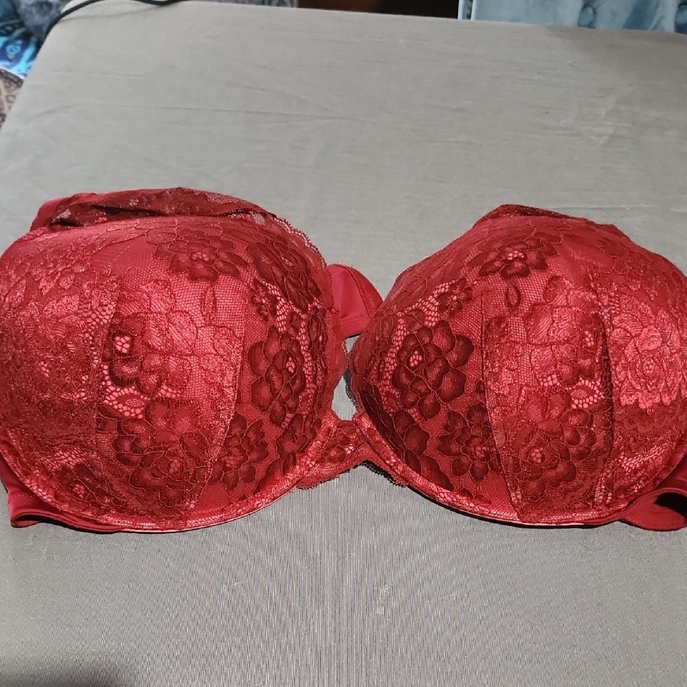 Luxurious Scarlet Lace Bra